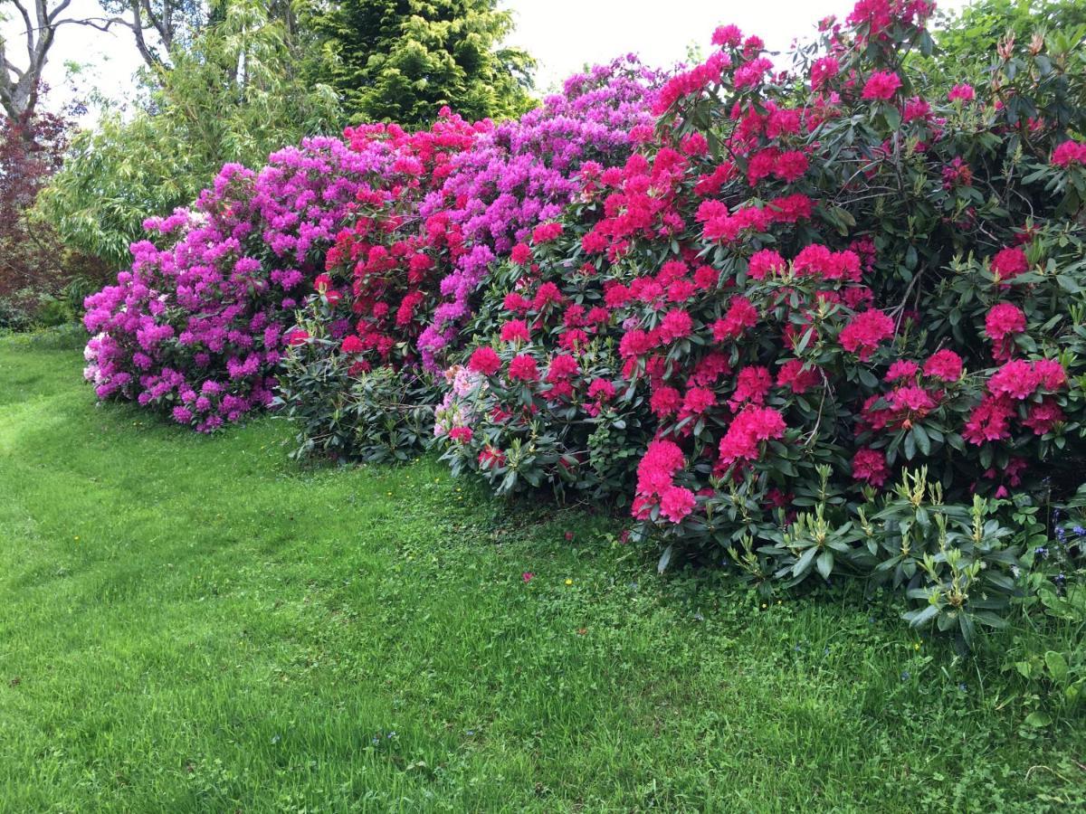 Llanwenarth Cottage A Beautiful Place To Just Be. Abergavenny Bagian luar foto